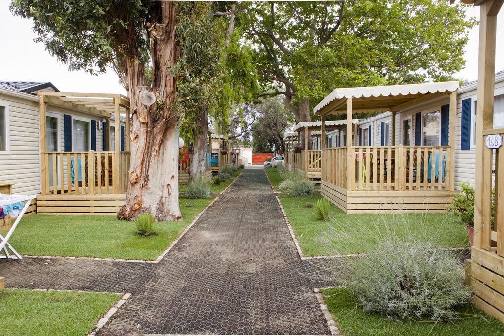 Camping Delfino Albenga Oda fotoğraf